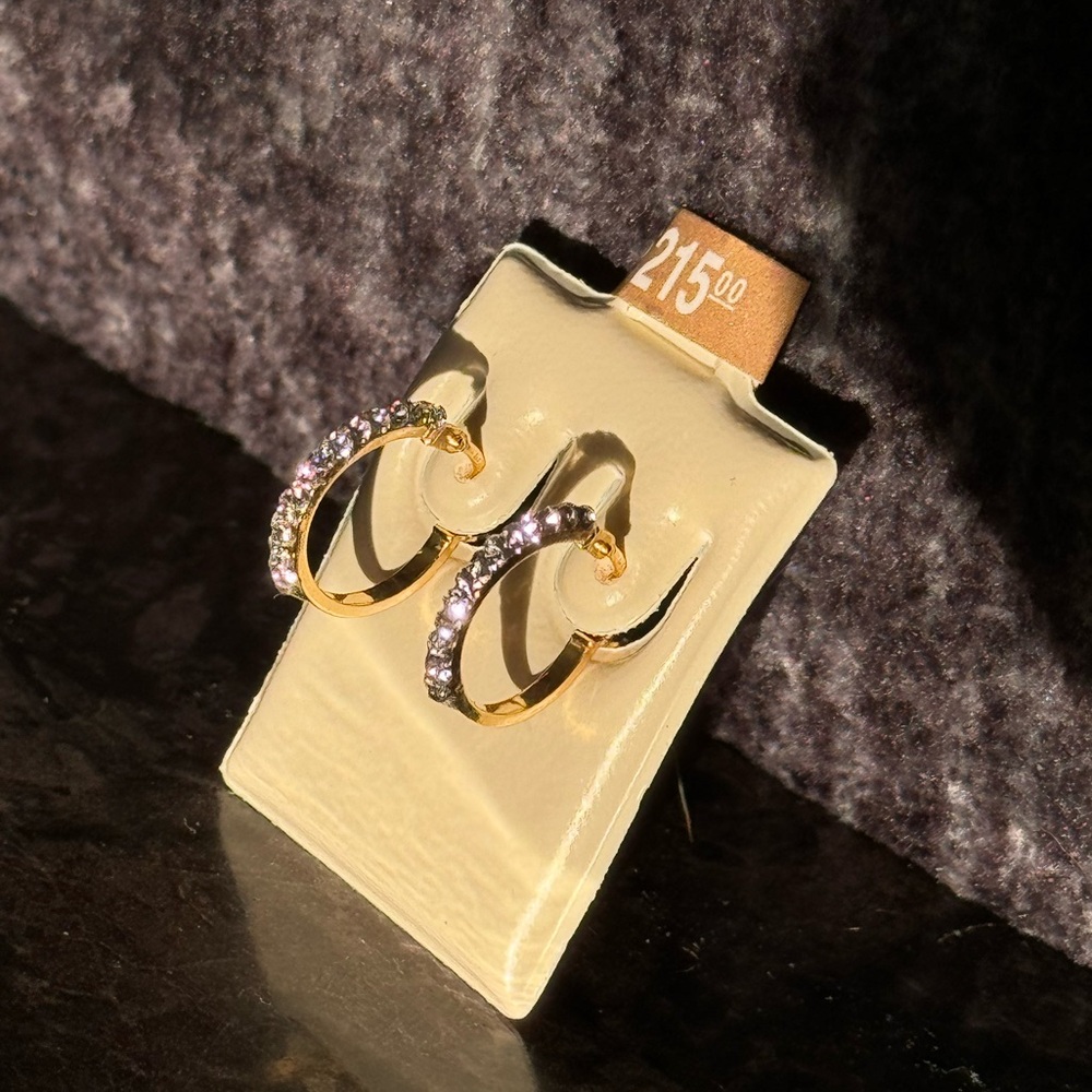 10k Gold Italian Diamond Hoops